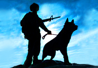 Tribute to War Dogs on Memorial Day « muttnutt blog
